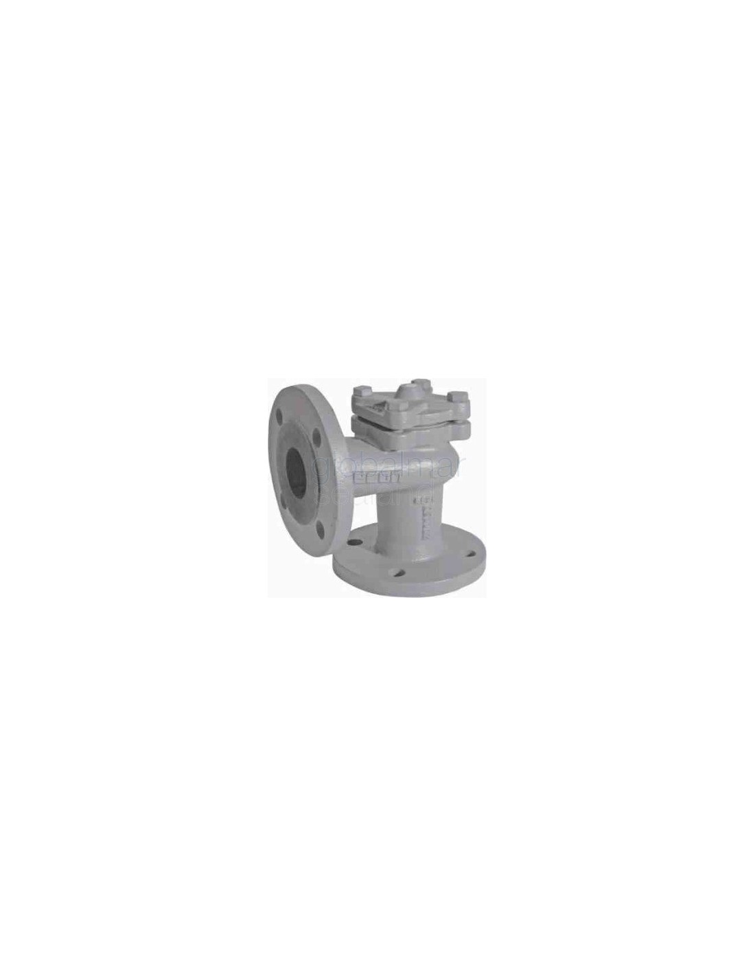 Check Valve Din C Iron Flanged Lift Pn Angle Dn