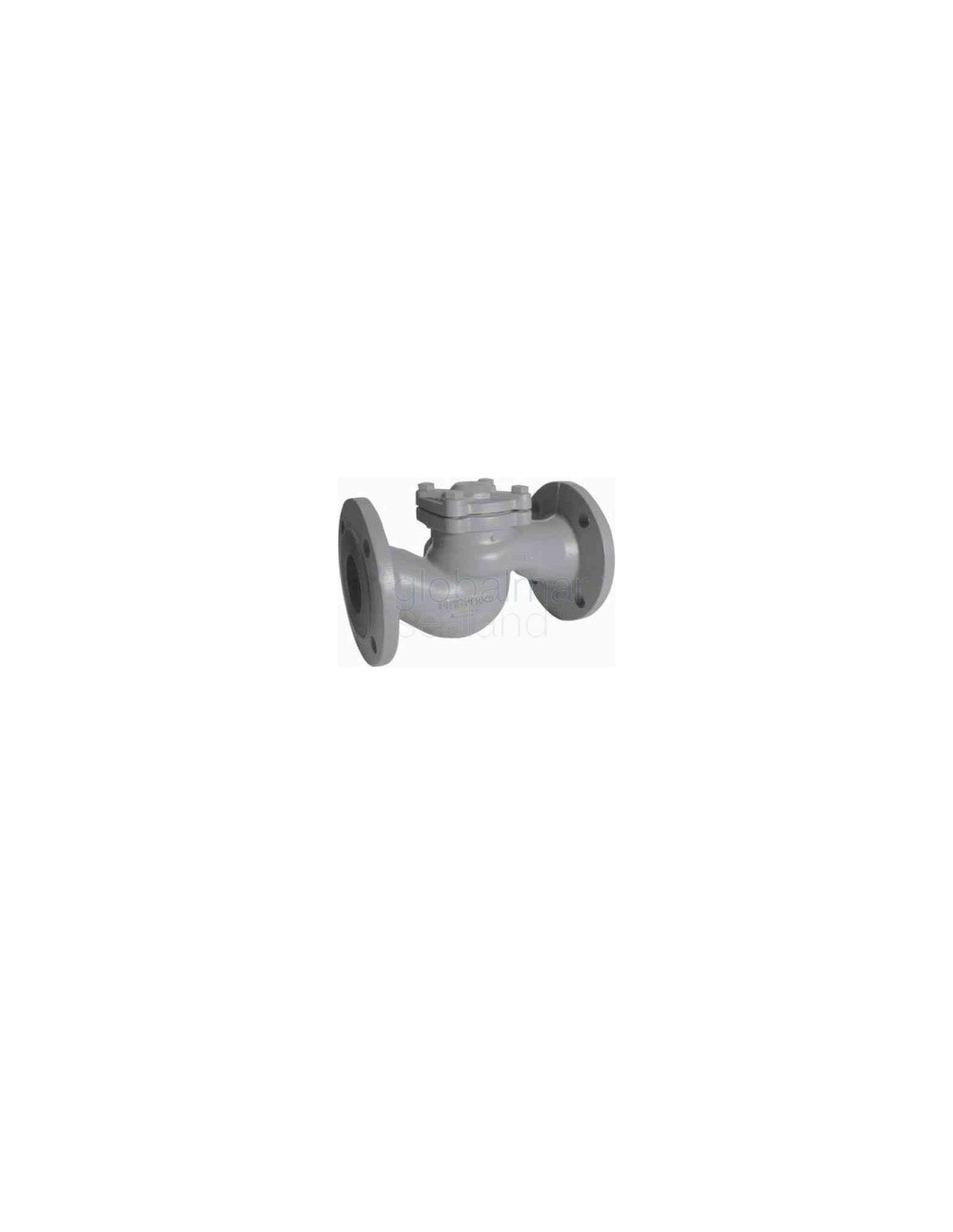 Check Valve Din C Iron Flanged Lift Pn Angle Dn