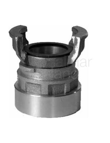 adapter-firehose-guillemin,-brass-lug45mm-2"r-female