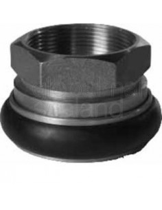 adapter-firehose-brass-machino,-2-1/2"-female/2-1/2"-female---