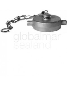 cap-hose-coupling-brass-lfb,-2-1/2"-sm205650---