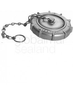 cap-hose-coupling-sm94063,-alumi/pressal-sms-2-1/2"---