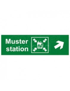 direction-sign-muster-station/,-arrow-45deg-up(r)-100x300mm---