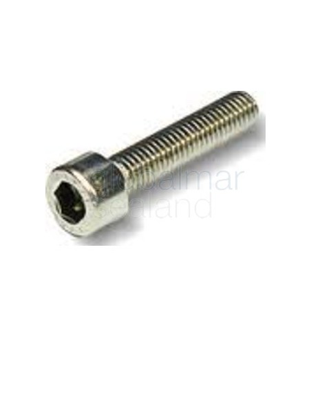 torn.inox.18/8-din-912-m-10x40