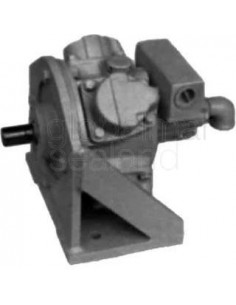 motor-air-radial-pistoin-type,-base-mount-model-dm1-0.86kw---