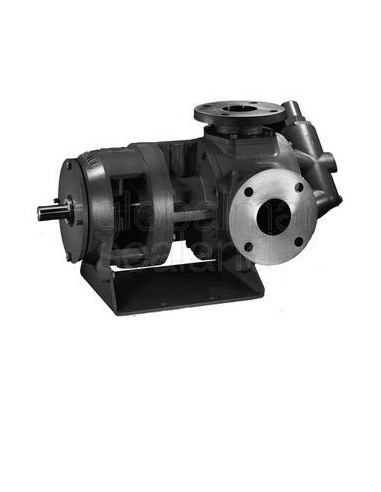 pump-internal-gear-cast-iron,-gg0120-120-usgpm---