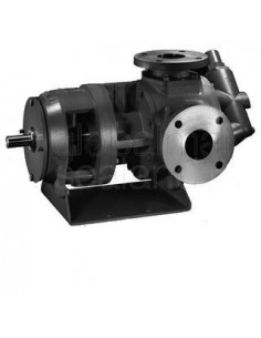 pump-internal-gear-stainless,-steel-gg080-53-usgpm---