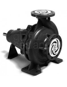 pump-end-suction-bare-shaft,-with-further-information---