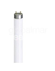 lampara-fluorescente-calex-fluo-tube-18w/20.0-cool-white-26x590mm-"rapid-start"