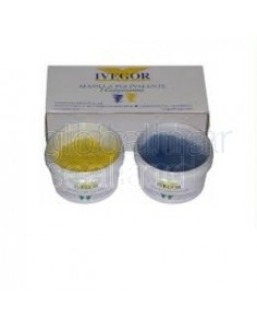 masilla-polivalente-2-componentes-ivegor-1-kg