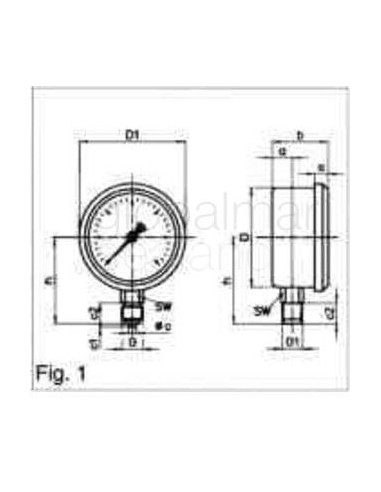 gauge-pressure-glycerine-bottm,-direct-0-6bar-100mm-g1/2"---