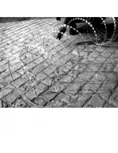 wire-razor-for-piracy-prevent,-galv-single-loop-app-dia-800mm---