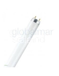 lampara-fluorescente-36-w-luz-dia-1200x26-mm