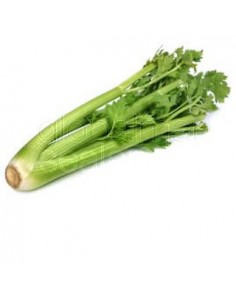 apio-fresco