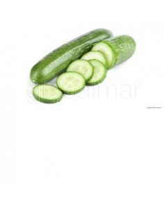 pepinos-frescos