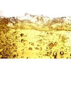 gasolina-super-sin-mecla