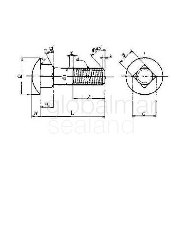 bolt-cap-head-square-neck,-with-further-detail---