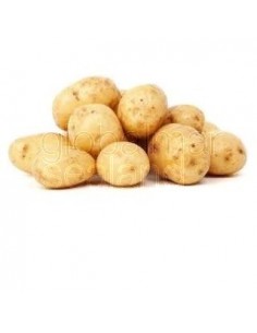 patata-regular-fresca