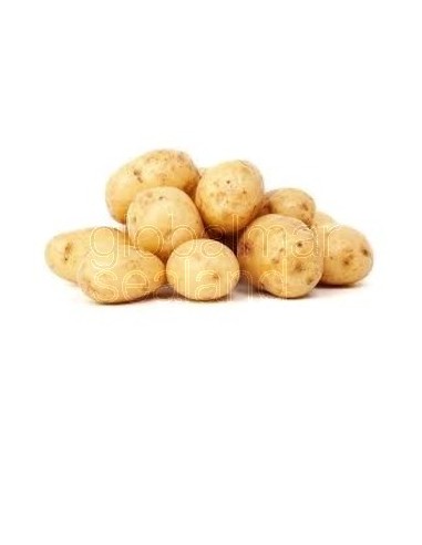 patata-regular-fresca