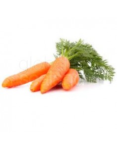 zanahoria-fresca