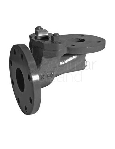 storm-valve-din-ductile-c/iron,-angle-w/o-lock-device-1205dn125---