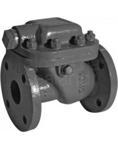 storm-valve-din-ductile-c/iron,-straight-w/o-lock-1208-dn-100---