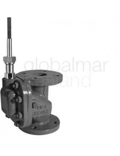 storm-valve-din-ductile-c/iron,-straigth-w/lock-1209-dn-65---