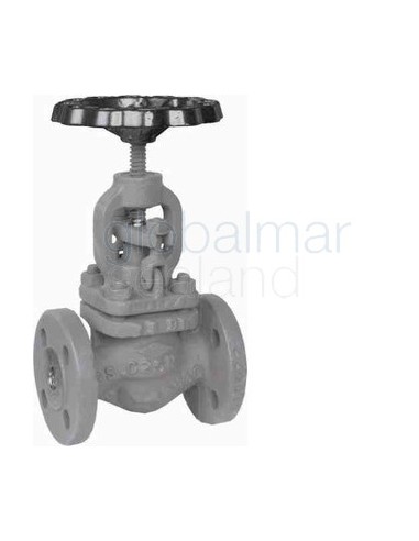 globe-valve-din-cast-steel-398,-flanged-pn16-straight-dn-20---