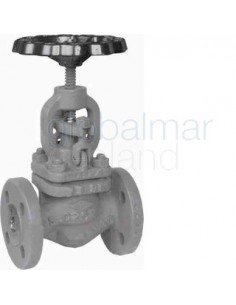 globe-valve-din-cast-steel-398,-flanged-pn16-straight-dn-100---