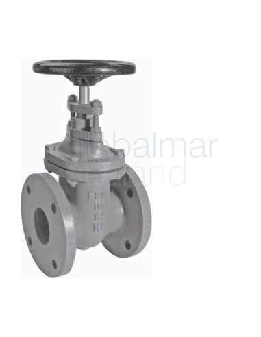 gate-valve-din-cast-iron,-flanged-pn10-#317-dn-40---