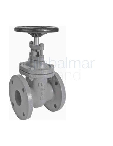 gate-valve-din-cast-iron,-flanged-pn10-#292-80mm---