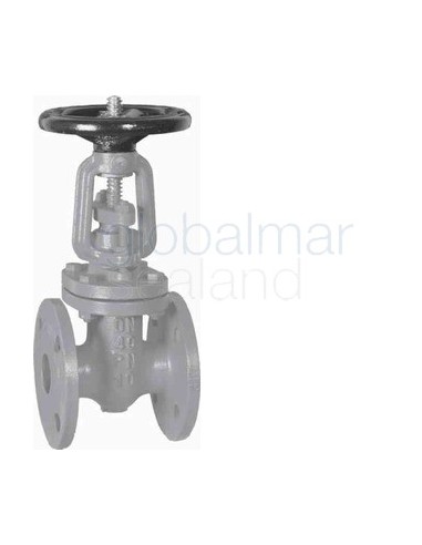 gate-valve-din-cast-iron,-flanged-pn10-#306-40mm---