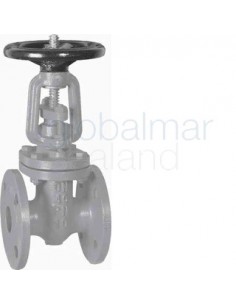 gate-valve-din-cast-iron,-flanged-pn10-#306-100mm---