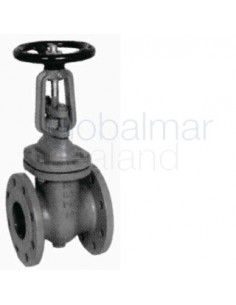 gate-valve-din-cast-iron,-flanged-pn10-#319-50mm---