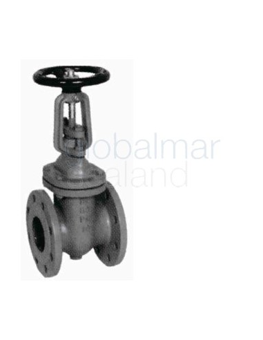 gate-valve-din-cast-iron,-flanged-pn10-#319-150mm---