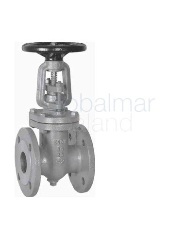 gate-valve-din-cast-iron,-flanged-pn10-#2406-125mm---