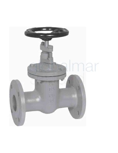 gate-valve-din-cast-iron,-flanged-pn10-#293-150mm---