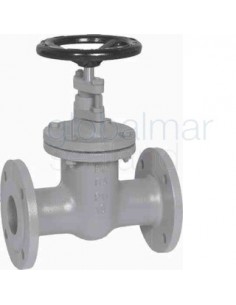 gate-valve-din-cast-iron,-flanged-pn10-#293-200mm---