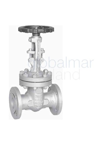 gate-valve-din-cast-steel-pn16,-flanged-#3816-dn-300---