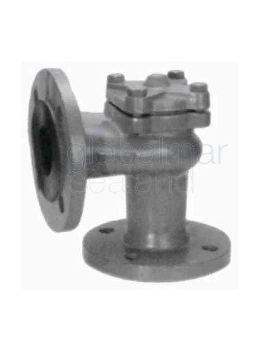 check-valve-din-c/iron-flanged,-lift-pn16-angle-#78-dn-25---