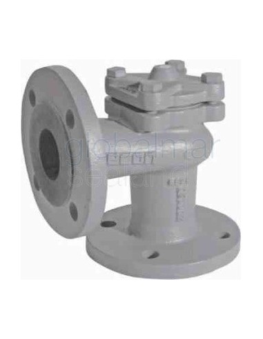 check-valve-din-c/iron-flanged,-lift-pn16-angle-#102-dn-15---