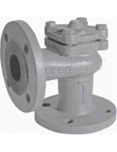 check-valve-din-c/iron-flanged,-lift-pn16-angle-#102-dn-25---