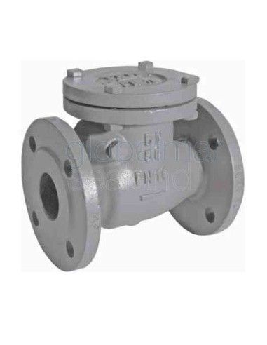 check-valve-din-c/iron-flanged,-swing-type-pn16-#83br-40mm---
