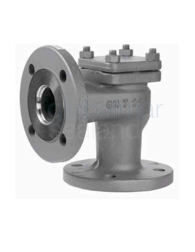 check-valve-din-cast-steel,-lift-pn40-angle-#96-dn-15---