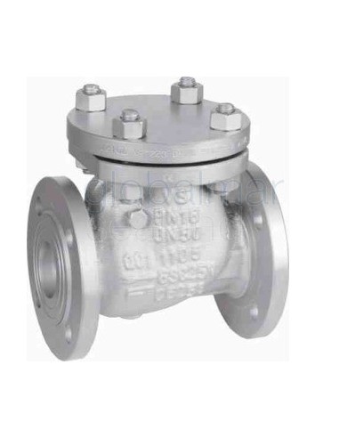 check-valve-din-cast-steel,-flanged-swing-pn16-#109-dn-80---