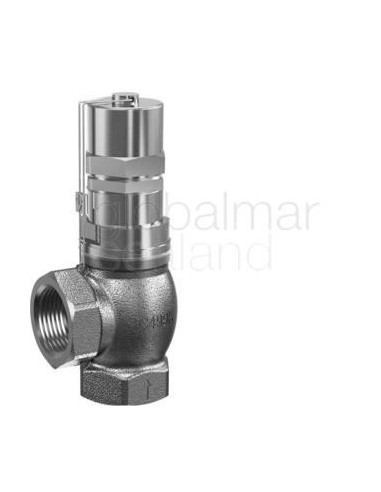 valve-overflow-red-brass-din,-#618t-1"-w/teflon-gasket---