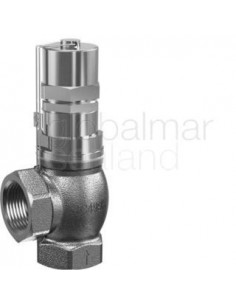 valve-press.-relief-g.metal,-din-#618sgfl-ptfe--seal-3/4"---