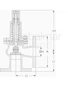 over-flow-valve-din-bronze,-flanged-end-angle-#524-dn-25---
