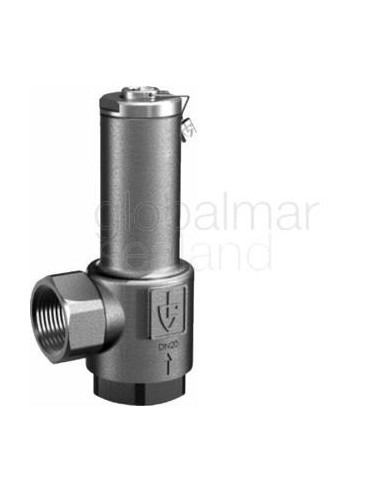 valve-overflow-s.steel-din,-#417tgfo-g1/2"---