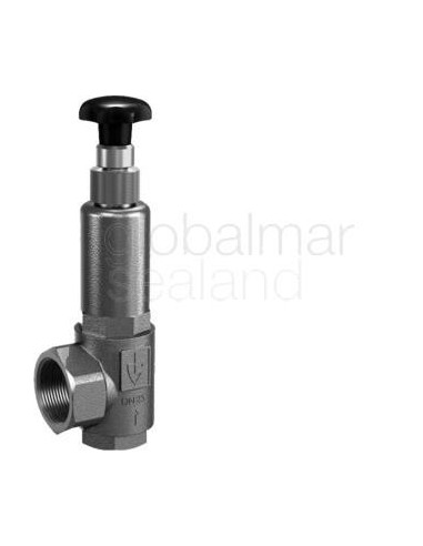 valve-overflow-gunmetal,-s.steel-spring-#853bgfo-din-15---